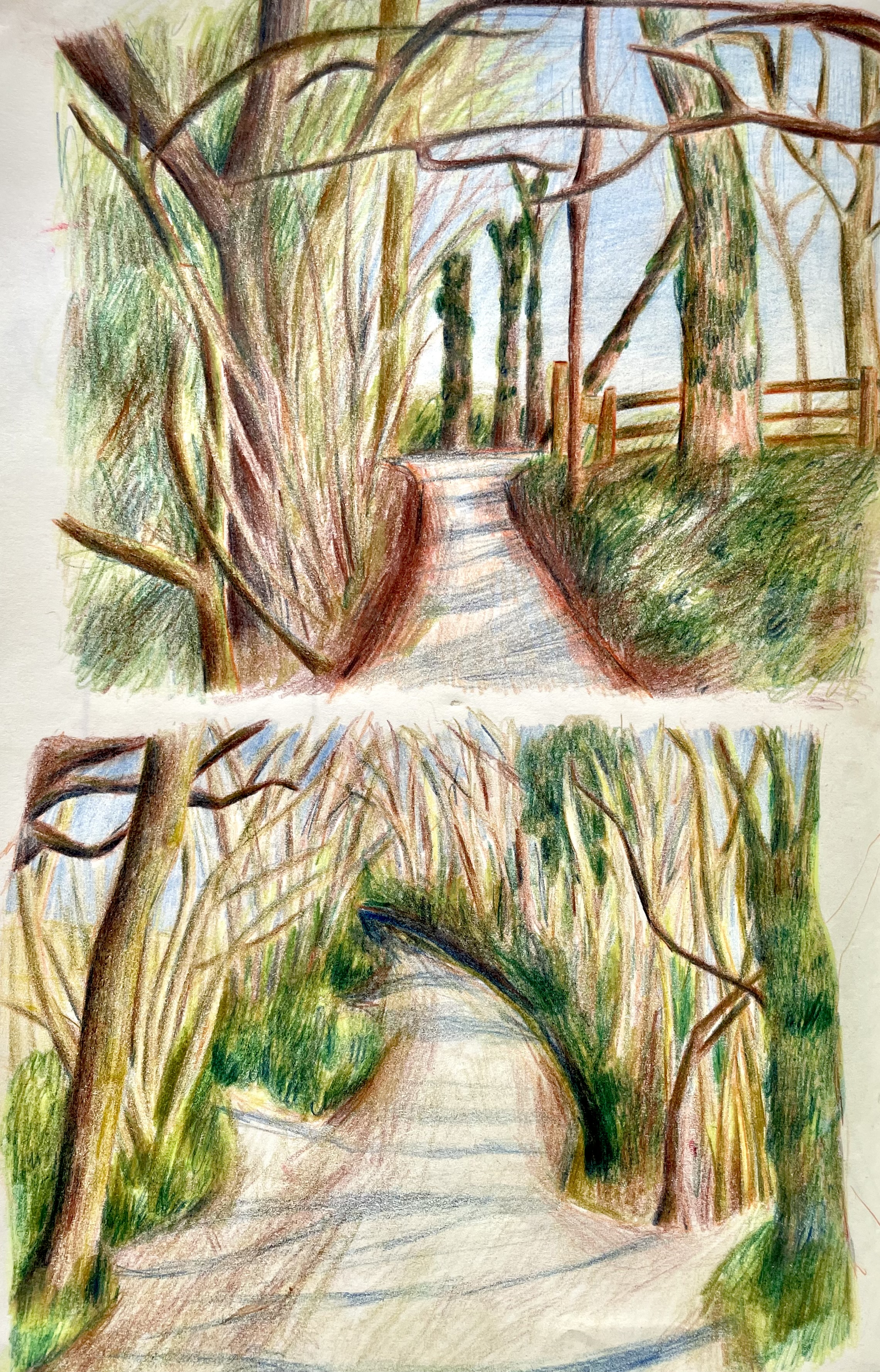 coloured pencil sketch of two landscapes, filled with greenery and trees