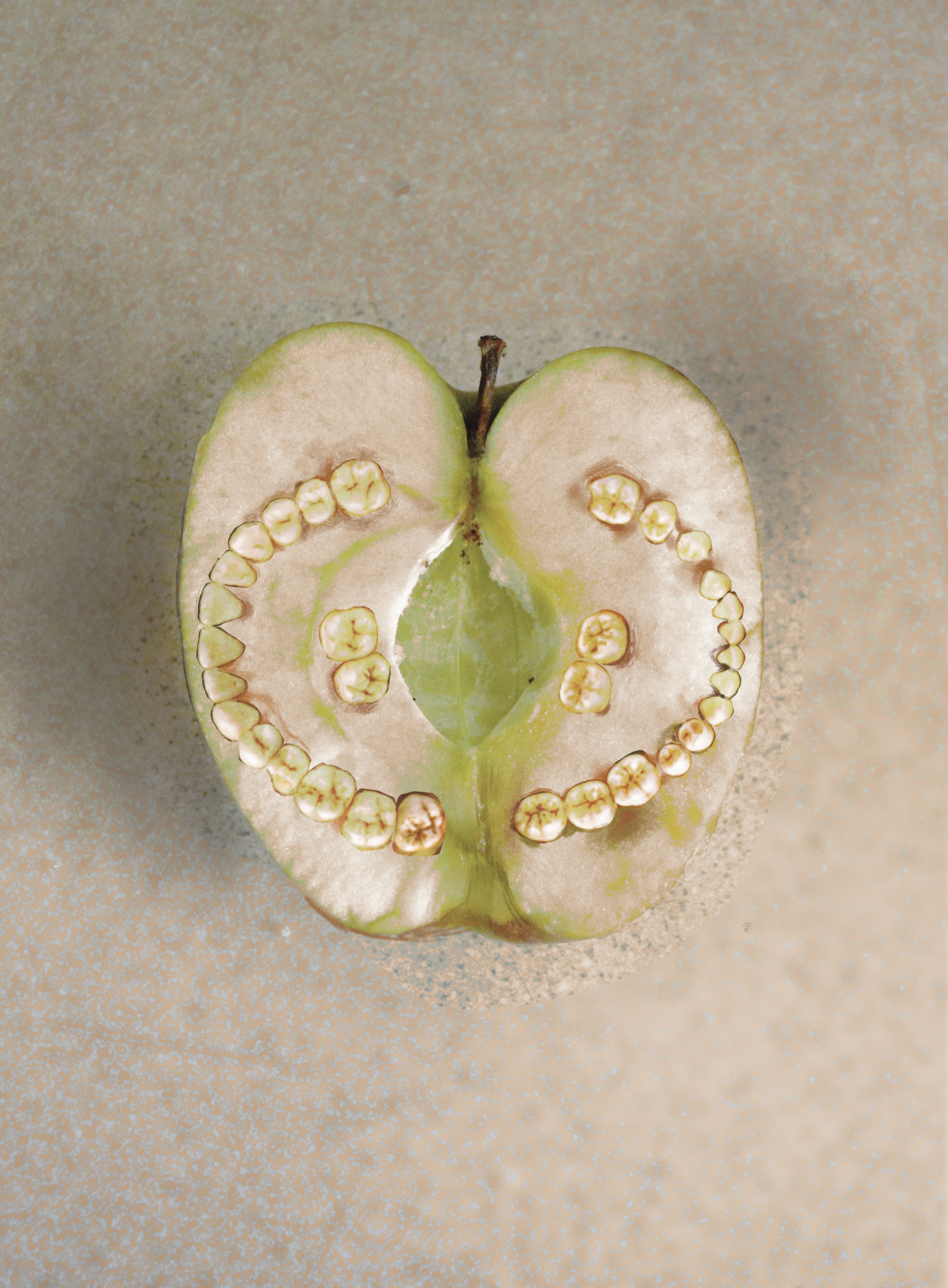 a photograph of a half of an apple with human teeth in its centre, with drawn detail over the top