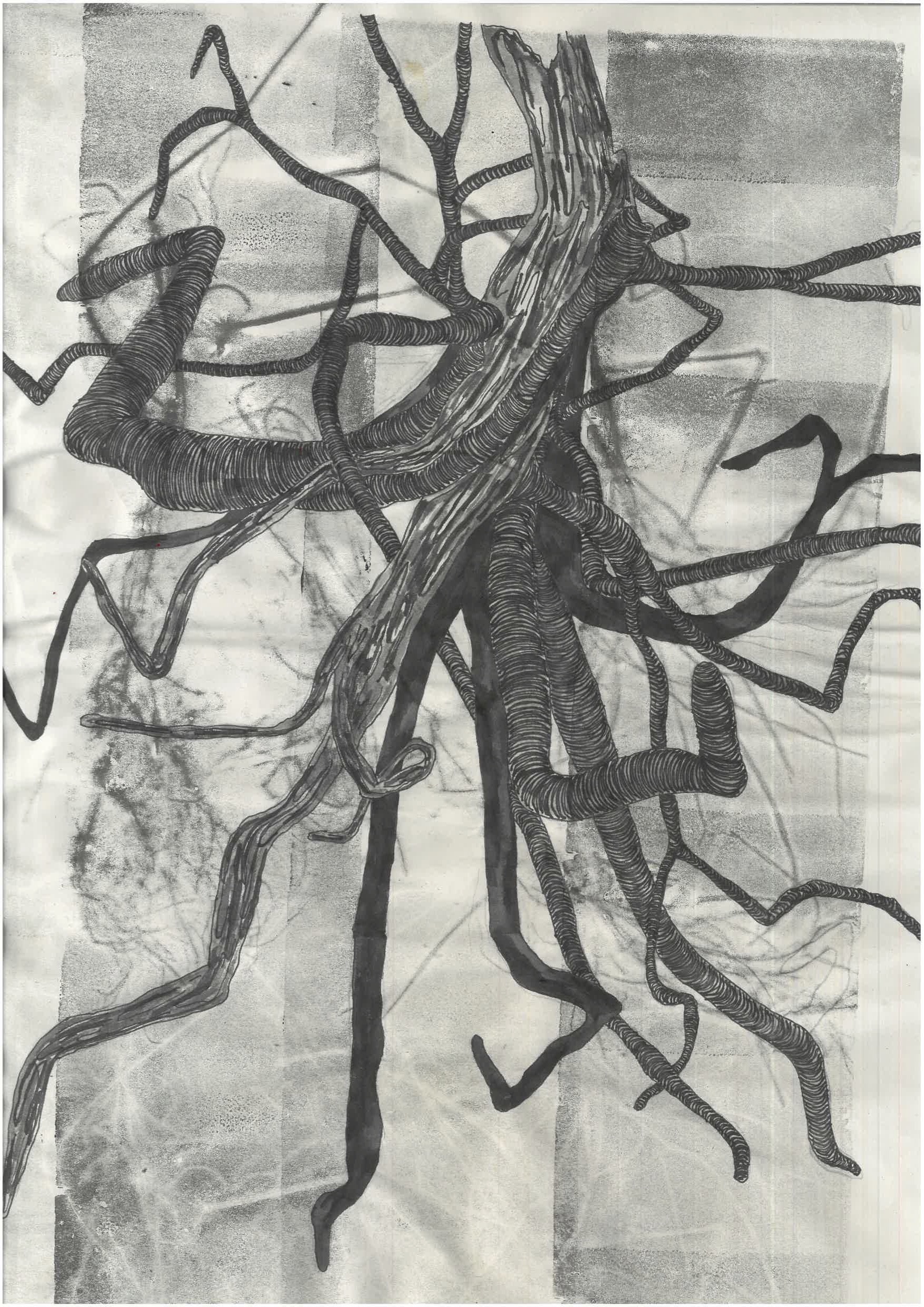 black and white detailed print of tree roots