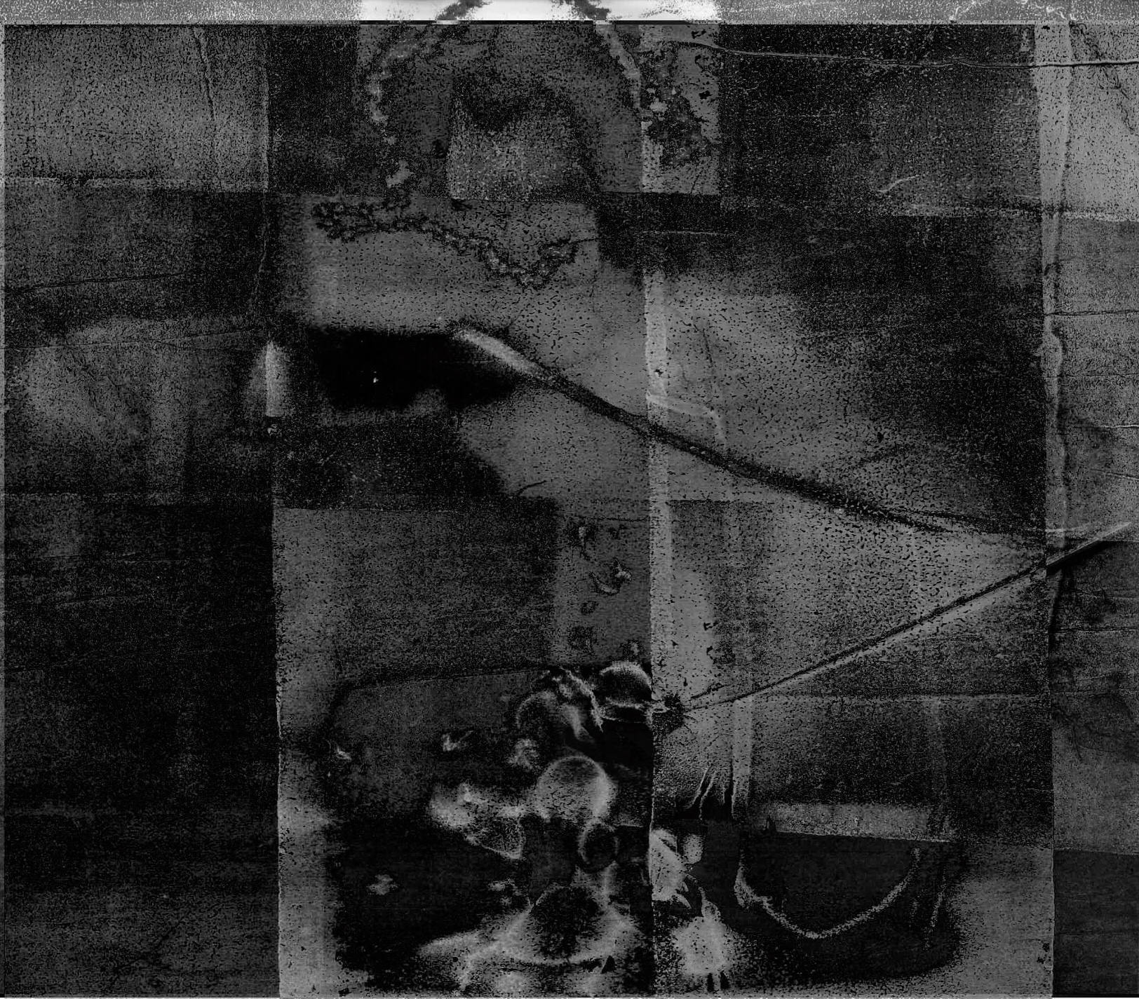 an abstract black ink print of naturalistic shapes