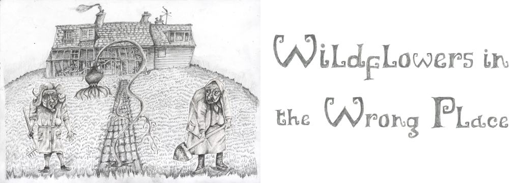 a detailed pencil sketch of mystical fairytale figures, accompanied by the text 'wildflowers in the wrong place'